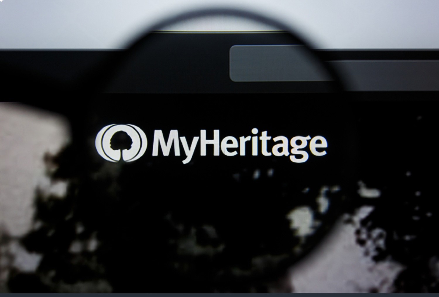 MyHeritage